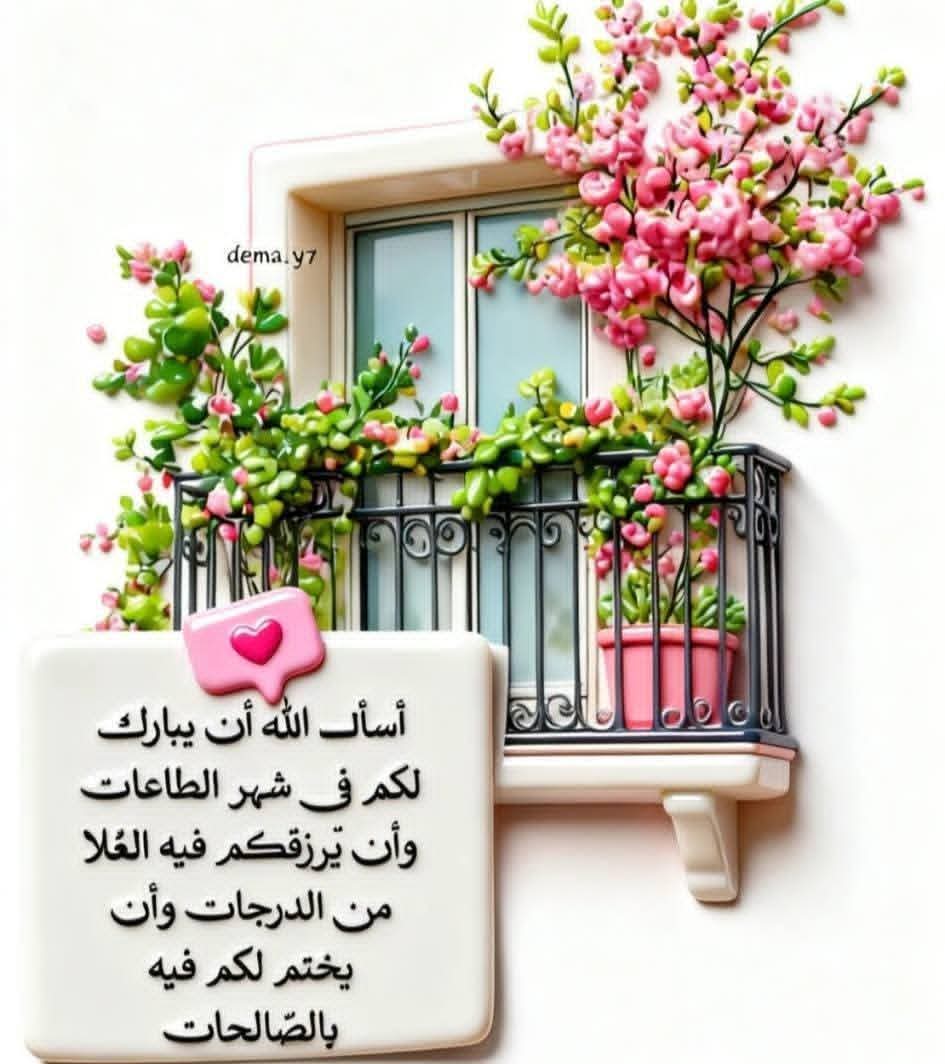 Wafaa Abd Elhamid خريجه علوم سياسيه جامعه القاهره (@elewawafaa) on Twitter photo 