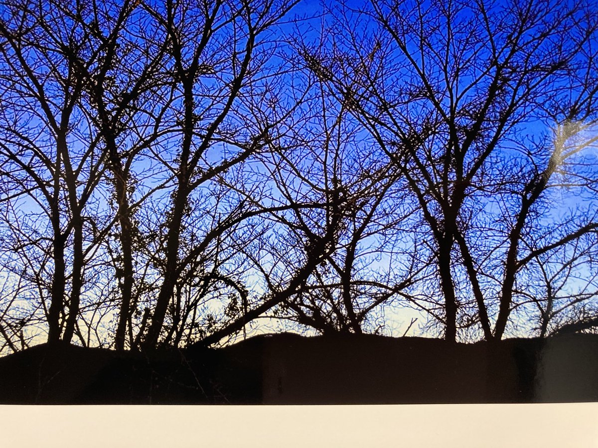 現在
『崇城大学写真部　写真展「わたしの世界」』開催しております。
2026/02/24 TUE.〜2026/03/07 SAT.
月曜日休館
最終日は18時まで

【開館時間】
○10：00 〜18：00
●13：15〜14：00 ※スタッフ休憩のため閉館します。（土・日はお昼休憩なしで開館いたします。）