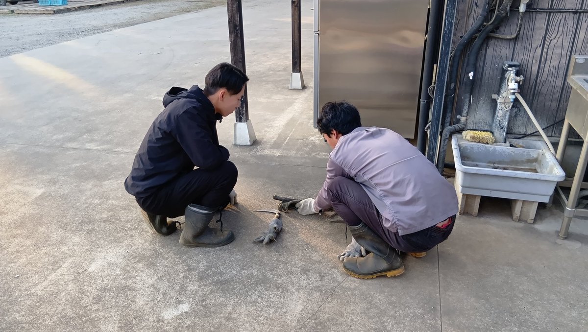 先日生産部が鎌の研ぎ方を教えていました✨️

左のハンサムくんは最近入った21歳の超若手です!
これからも頑張ってほしいです！！！

安全にお願いしますね(^o^)