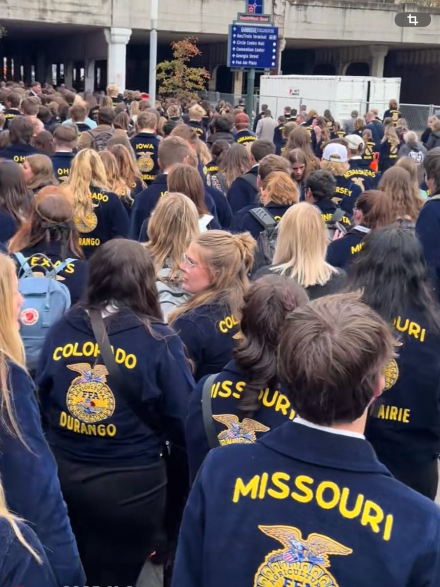 FFAジャケット(レプリカ)入荷致しました✨サイズはL表記(約XL)お値段