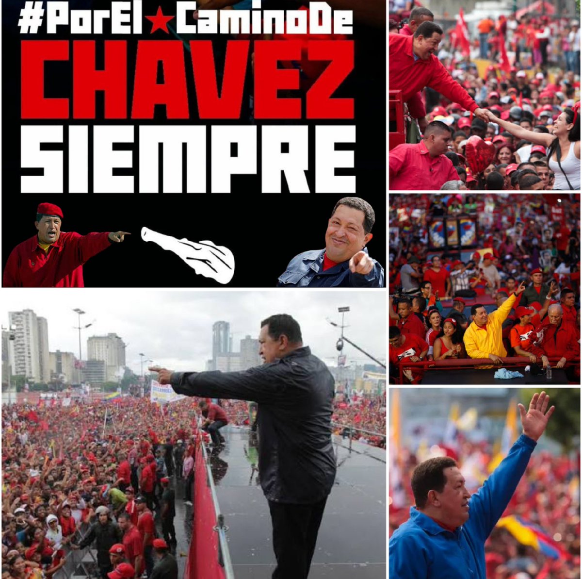 José Solórzano Reyes tweet media