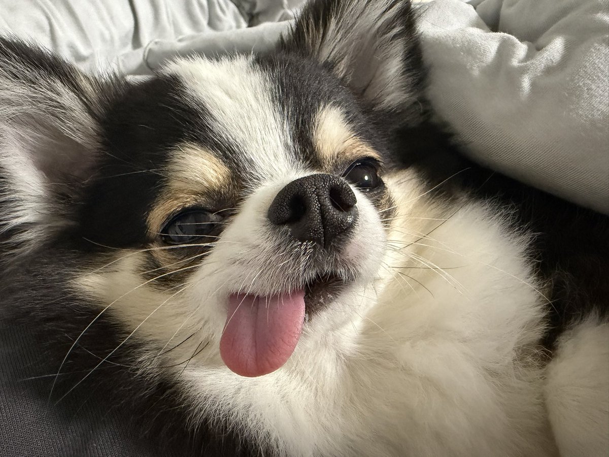 もちょちょ愛してる。 tweet media