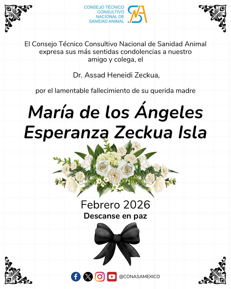 El CONASA expresa sus condolencias a nuestro amigo y colega, Dr. Assad Heneidi Zeckua, por el fallecimiento de su querida madre, María de los Ángeles Esperanza Zeckua Isla.

Nos unimos a su pena y enviamos solidaridad a él y a su familia. 🕊️