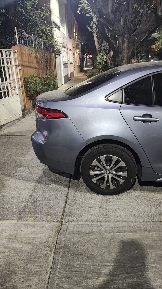 Rodrigo Gómez tweet media