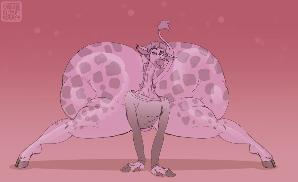 Garsupial+ tweet media