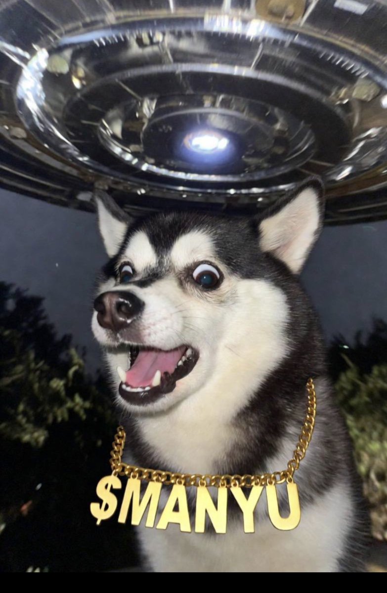 WALTER #DEFI 4 LYFE #BTC #ETH #SOL #XRP#BLOCKCHAIN tweet media