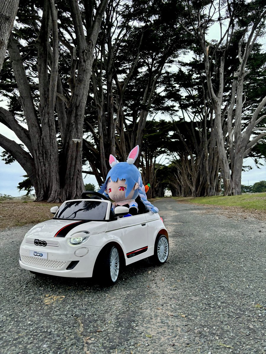 Pekora's new ride! #野うさぎ同盟 #ぺこちゃんみて