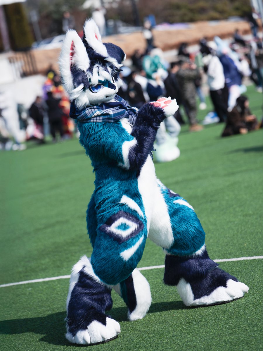 ssodang 📸 tweet media