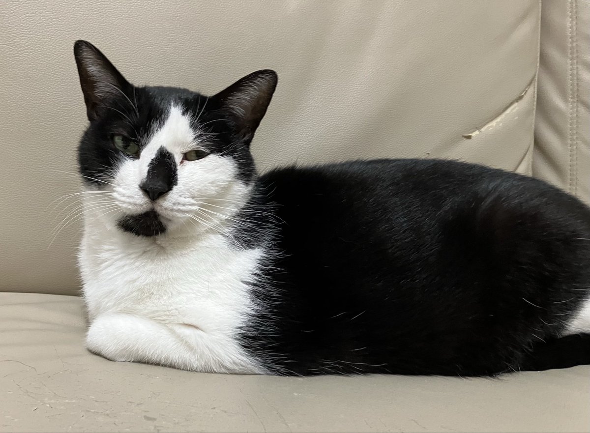 あらら
ハルちゃん不機嫌だわ😅