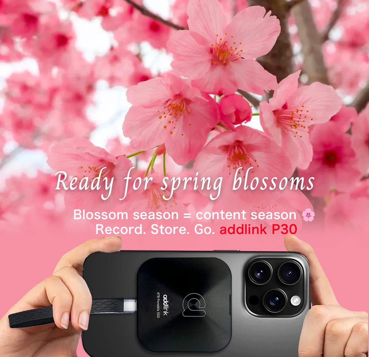 Ready for spring blossoms 🌸
P30 — pocket-size speed for every shoot, every trip, every backup.

EN:shorturl.at/aDyb5
UK:shorturl.at/S9oSC
JP:shorturl.at/FH7yk
#addlink #P30 #USB4 #ProRes #Thunderbolt #freesolo #alexhonnold #cherryblossom