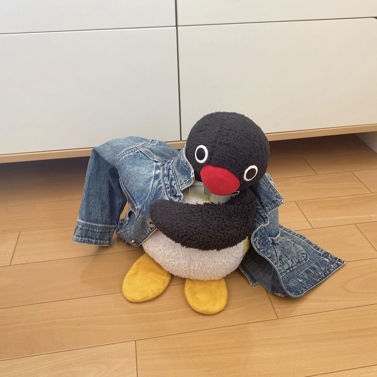 pingmyping tweet media