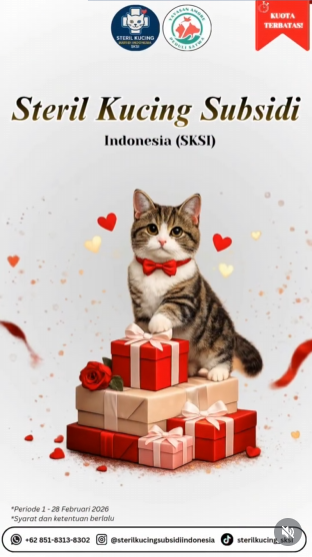 seyay_'s tweet photo. Program Steril Kucing oleh Steril Kucing Subsidi Indonesia (SKSI)
✔️ Biaya ramah kantong
✔️ Ditangani langsung dokter hewan berpengalaman
✔️ Prosedur aman, terkontrol, dan penuh kasih

tersedia di jakarta, bogor, depok, tangerang, bekasi dan bali. https://t.co/QUZ1NjaR2A