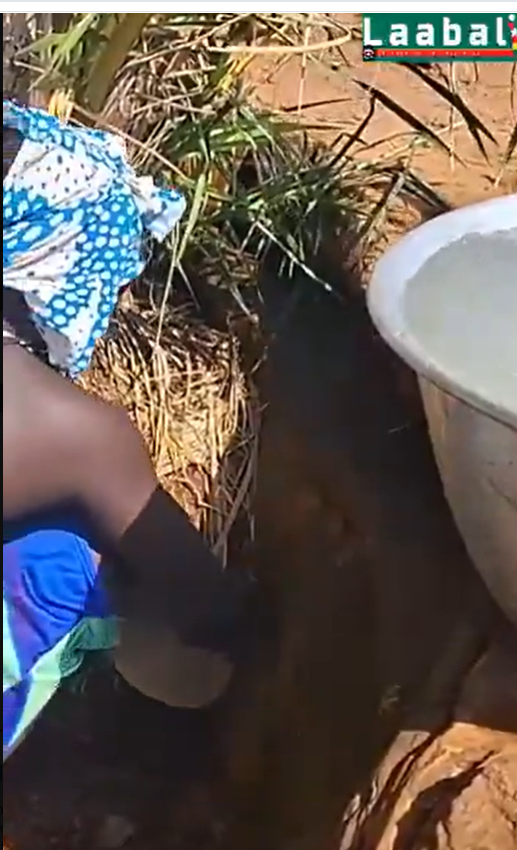 Ablode Gbadja | #FreeTogo tweet media