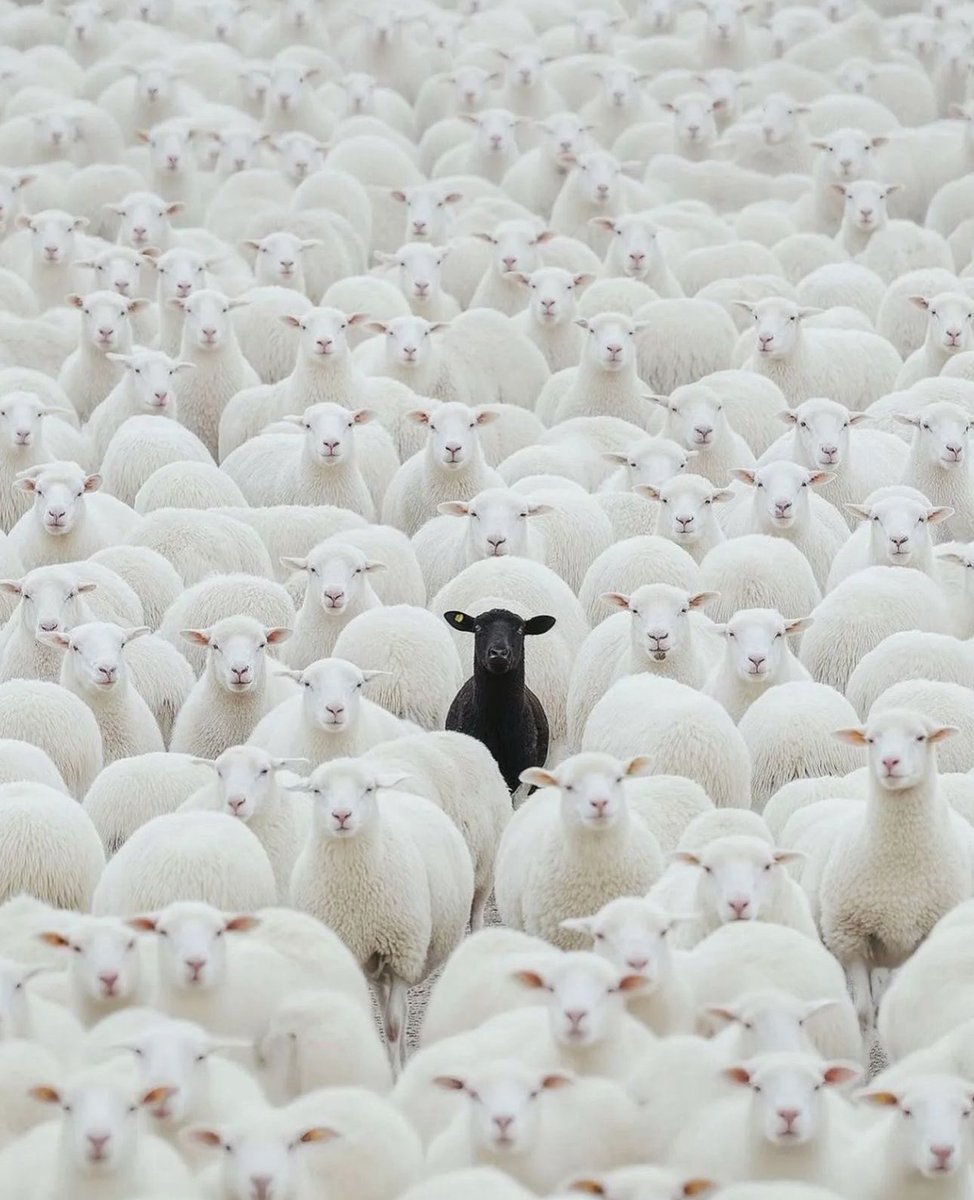 Is it a crime to be strong and play hard? I’ve worked relentlessly to put myself in this spot. I work just as hard as anyone, and that should never be a punishment. I might not be your favorite but I earned everything I have. Nothing was handed to me. Oil Dey my head ✌🏾#W #AGTG