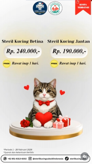 seyay_'s tweet photo. Program Steril Kucing oleh Steril Kucing Subsidi Indonesia (SKSI)
✔️ Biaya ramah kantong
✔️ Ditangani langsung dokter hewan berpengalaman
✔️ Prosedur aman, terkontrol, dan penuh kasih

tersedia di jakarta, bogor, depok, tangerang, bekasi dan bali. https://t.co/QUZ1NjaR2A