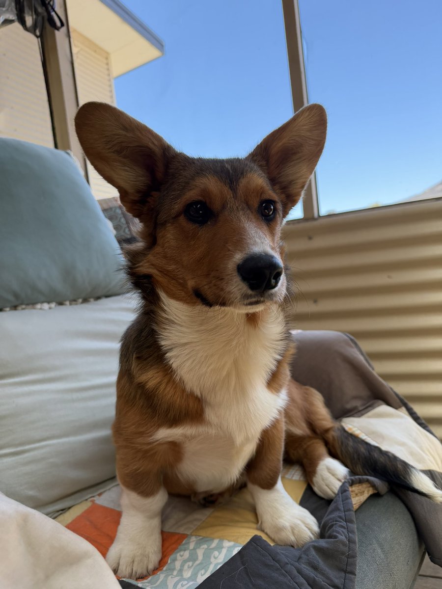 Dusty Pee tweet media