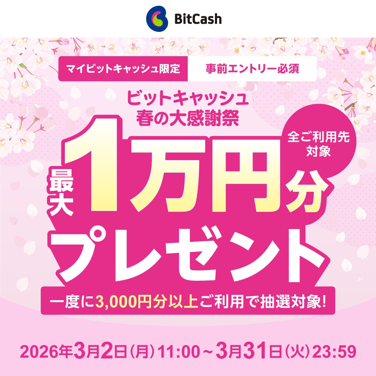 BitCash 2万円分 ✨全ご利用先対象✨／ マイビットキャッシュのご利用で 最大1万円分の