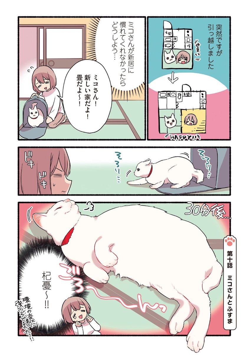 構われたくて嘘をつく甘えんぼ猫の話 