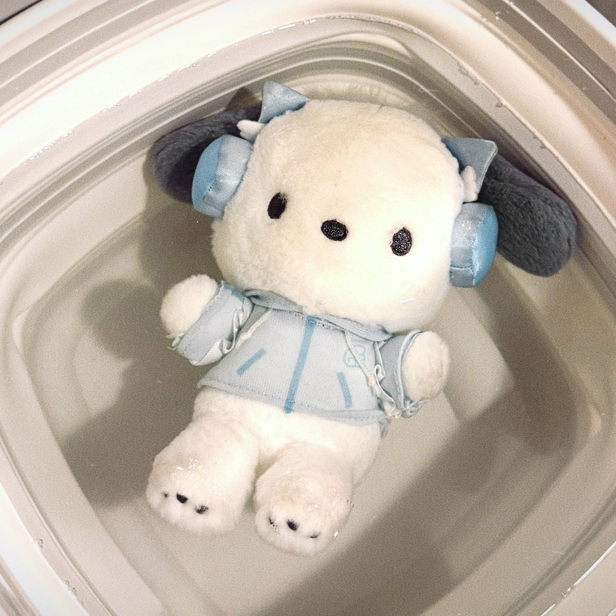 ソルンパス tweet media