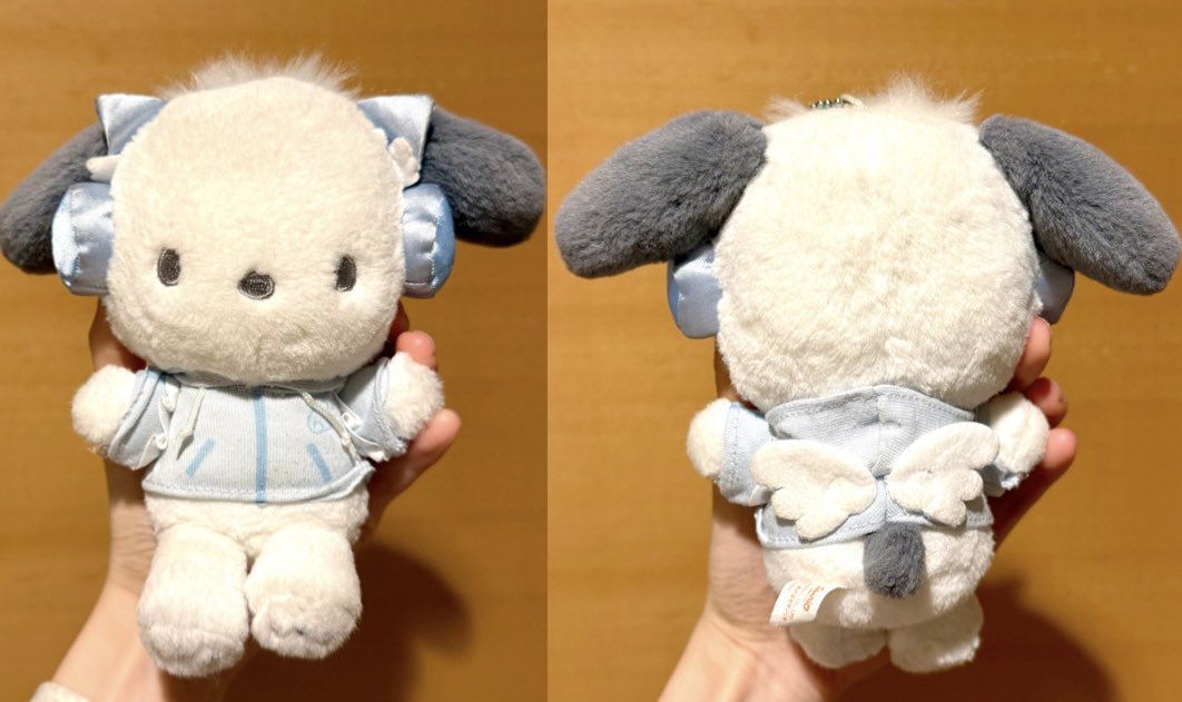 ソルンパス tweet media