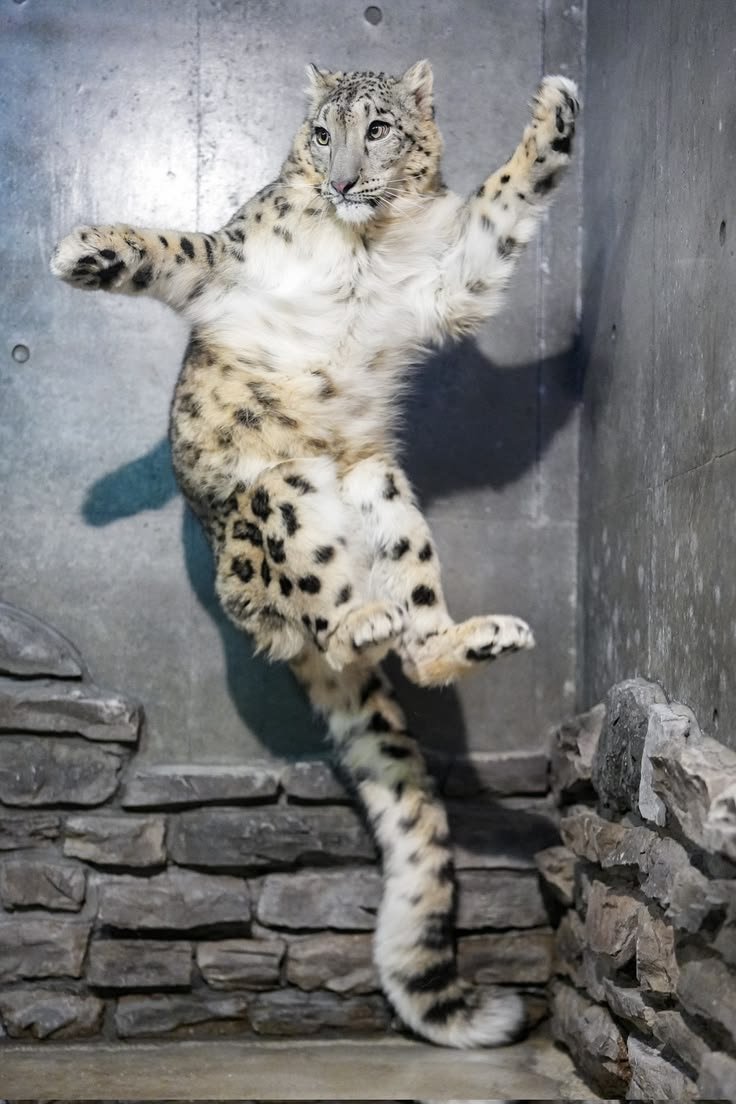 some sort of . fucking . move . what are you a ninja