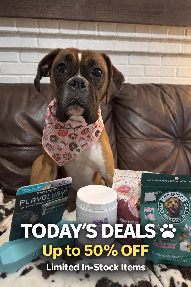 Bark & Beyond®️🇺🇸 tweet media