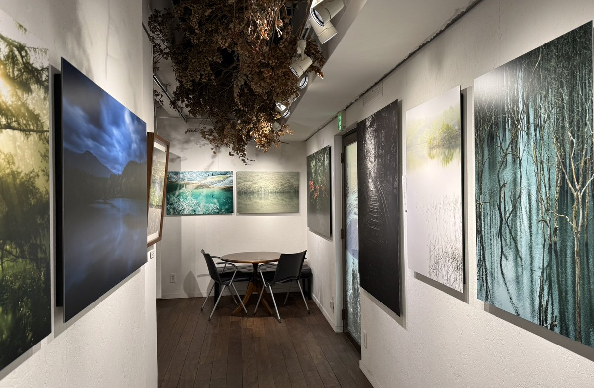 Gallery_GLEAM's tweet photo. ＼本日ギャラリーはOPENしています／🖼️✨
美しい光の作品と共に
皆さまのご来館をお待ちしております😊 https://t.co/VUkcotfcH4