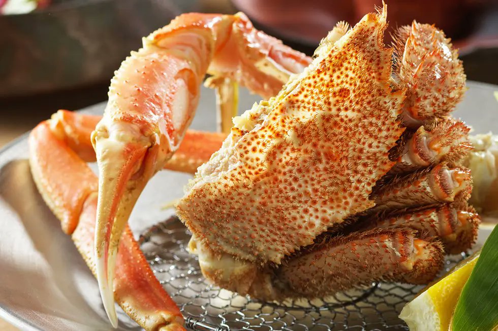 TabiraiOkinawa's tweet photo. 【カニ好き必見】🍽️🦀
はしきちです。

北海道民限定で平日最大15％OFF。
タラバ蟹・ずわい蟹を味わう贅沢会席付き。

・カニ尽くしの夕食
・湖畔の温泉＆岩盤浴
・自然に癒される立地

冬〜春のご褒美旅に。
お得な道民プラン、要チェックです。

▼詳しくはこちら
https://t.co/cR6PSx4pPE https://t.co/1xVtQiTEBo