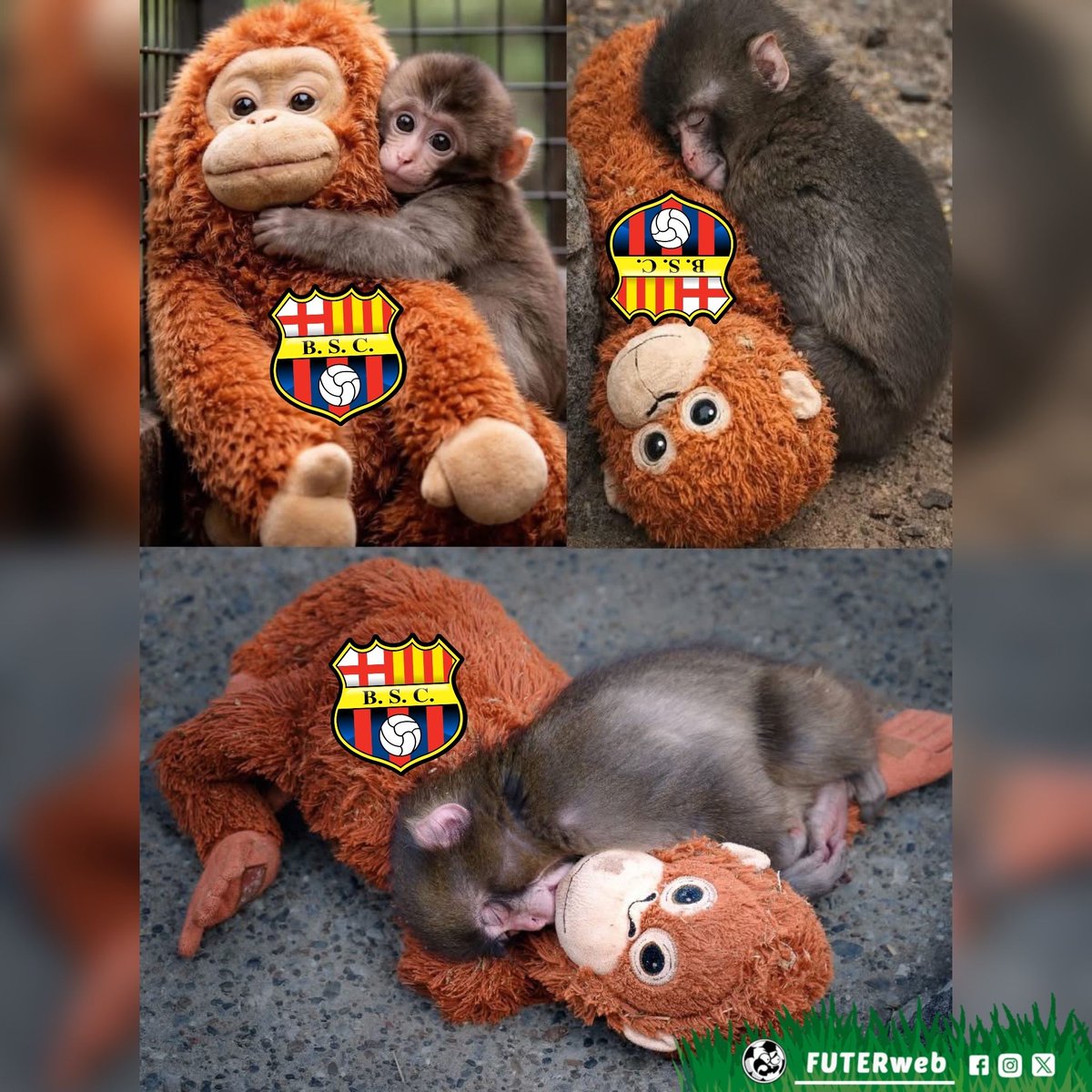 FUTERweb's tweet photo. Barcelona Clasificado, automáticamente yo: https://t.co/CfzSdokb4q