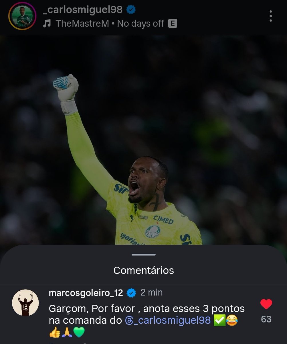 Palmeiras memes🐷💚 tweet media
