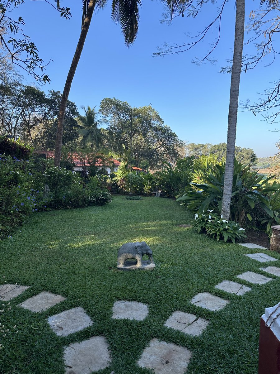 Birender Dhanoa tweet media