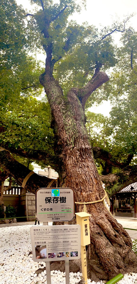 Post by Big Masa（ビッグまさ）🇯🇵 on X: 昼休み