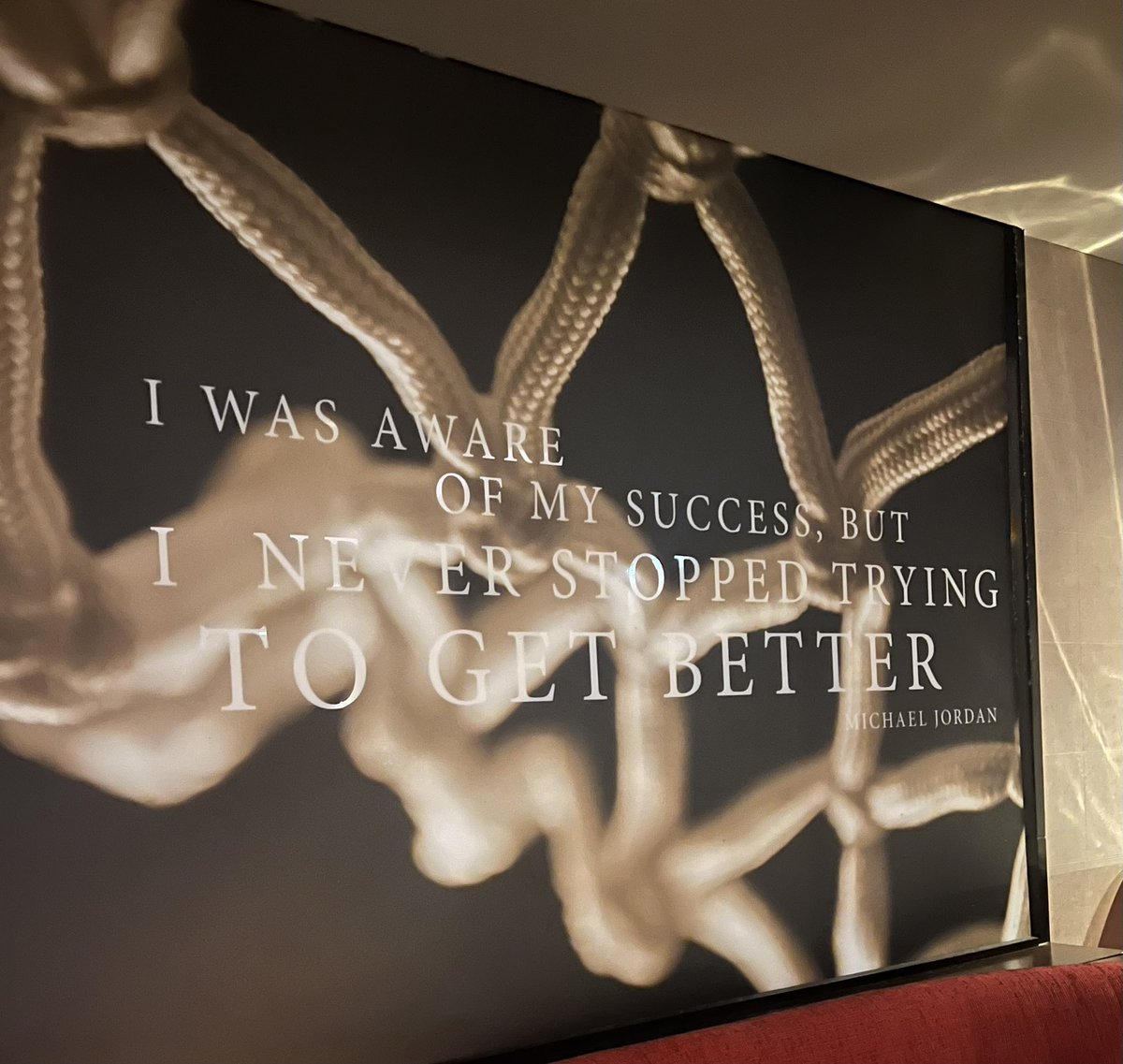 Dr. Cicely Bailey tweet media