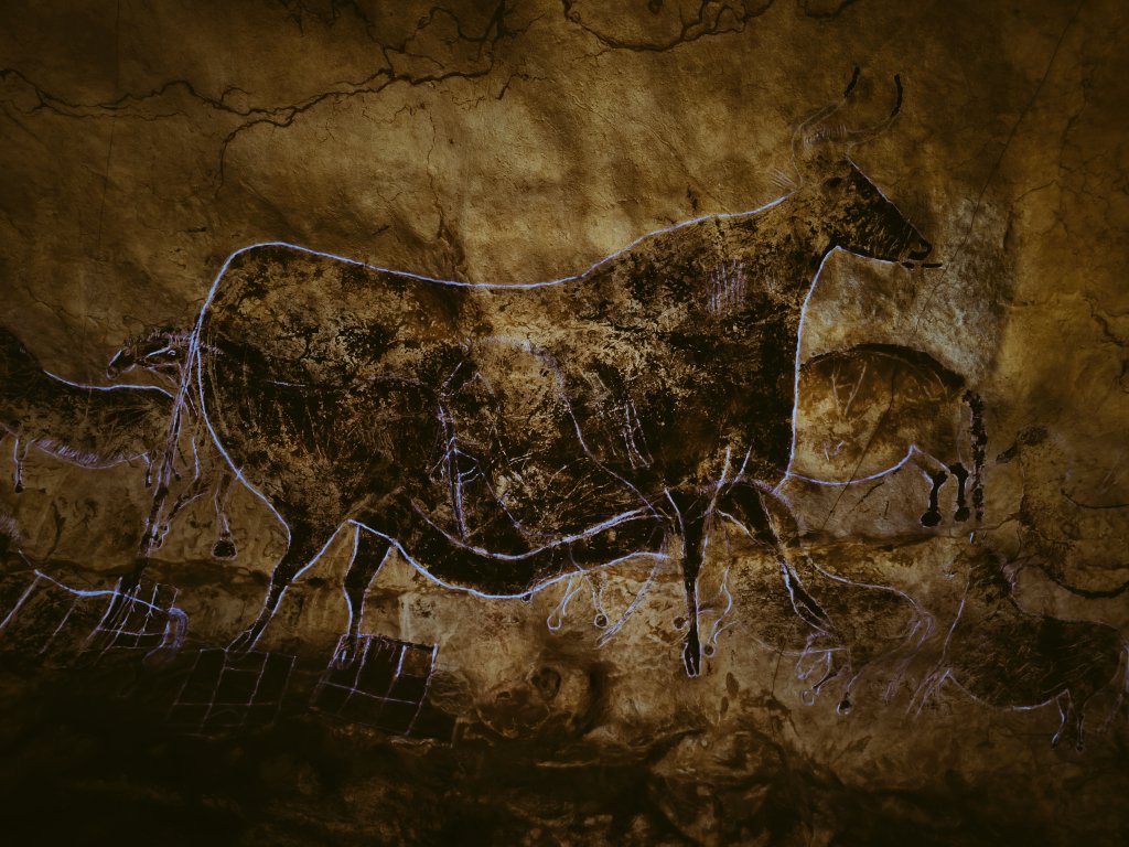 Nouf Infiyat #aborigen tweet media