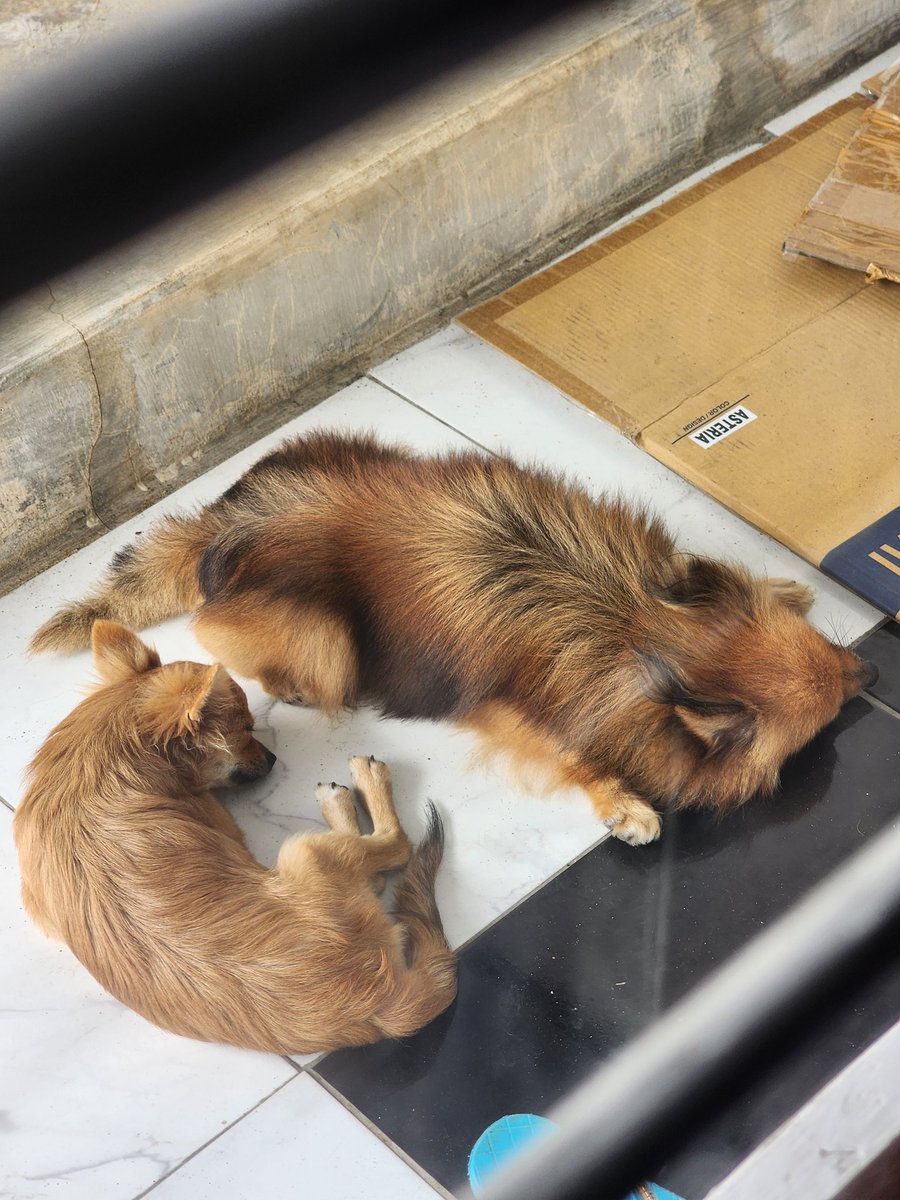 Daniel ☁️ tweet media