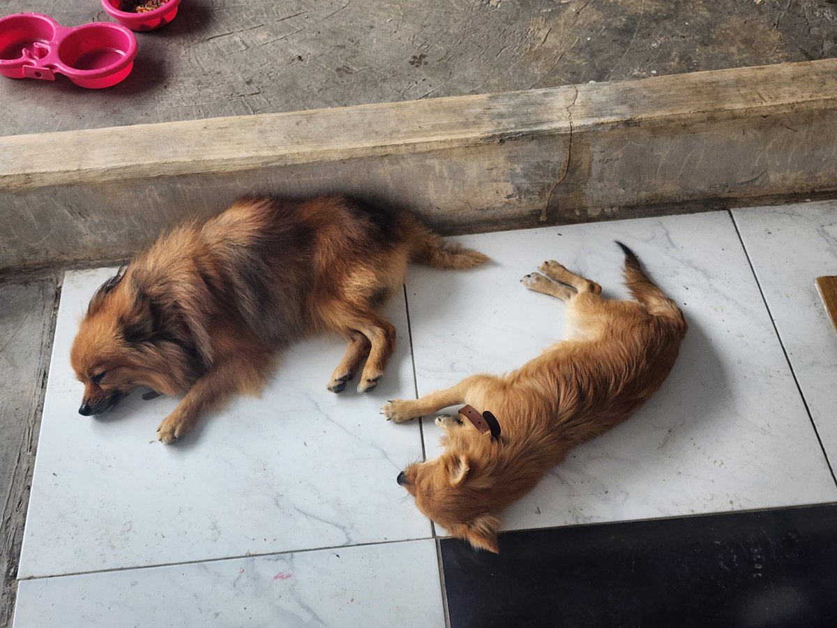 Daniel ☁️ tweet media