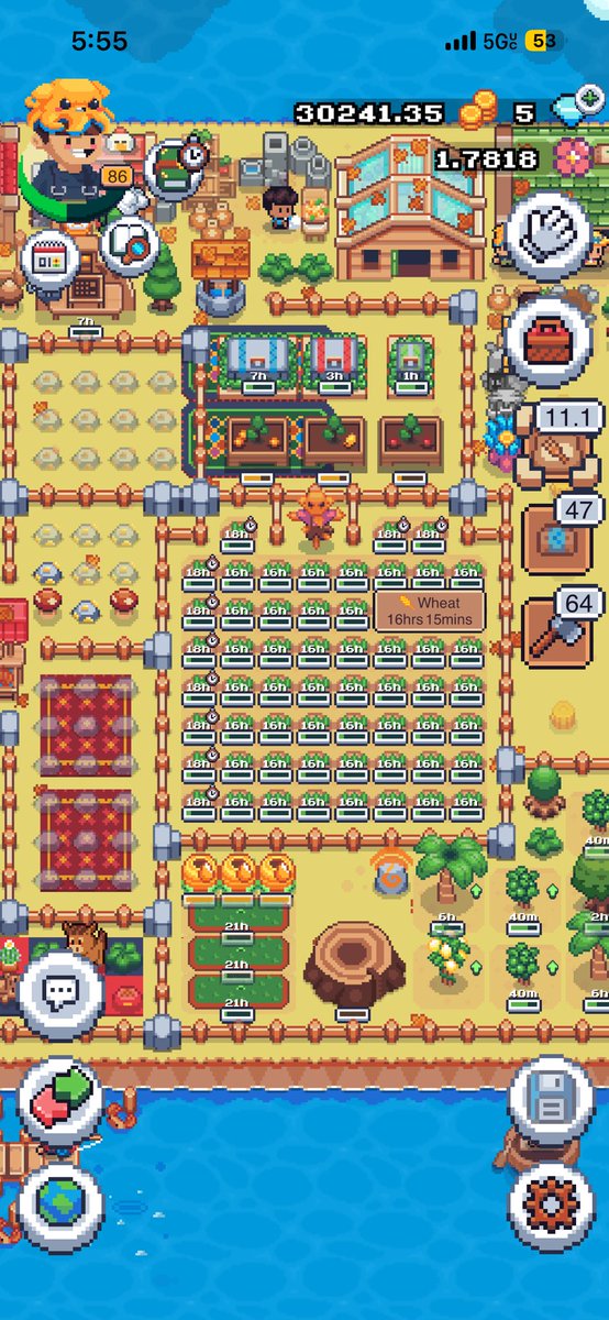 joelundine's tweet photo. #SunflowerLandFarm https://t.co/XO8JFbgte3