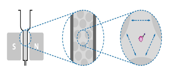 AntBio_'s tweet photo. Unlock high-purity cell isolation with ANTBIO magnetic bead sorting! 🧲✨
Gentle on cells, fast results, and scalable from lab to clinic. From immunology to cell therapy—your research starts here.
⬇️ Learn more in our latest guide!
#CellSorting #Biotech #ANTBIO #LabLife #Research https://t.co/yOXOEoGJI5