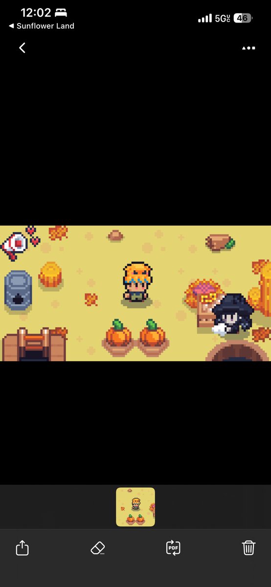 joelundine's tweet photo. #SunflowerLandWeekly https://t.co/LeocSYydqR