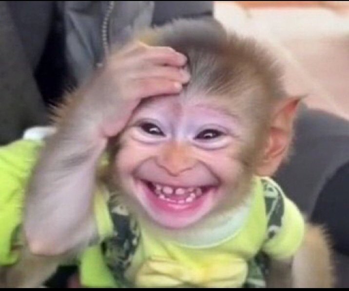 It's 2026 these living dead haven't come back yet,they allegedly said peace out and dipped forever.  
 
I'm still waiting for updates from the fake death WhatsApp members.