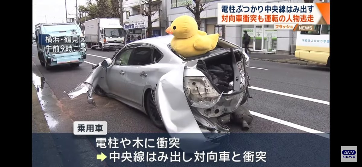 あひるの兄です全てをお話します