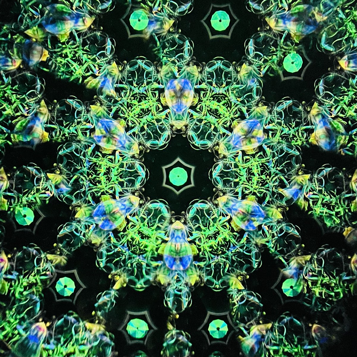 新入荷】細野朝士『2026 妖 No.009』 オイルチェンバーにドライの