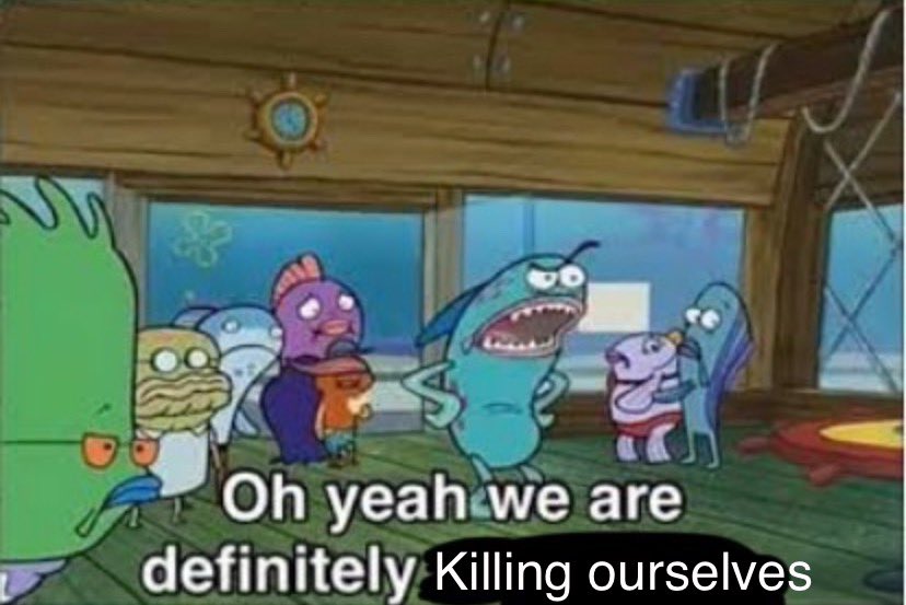 tobi💫 (inactive) tweet media