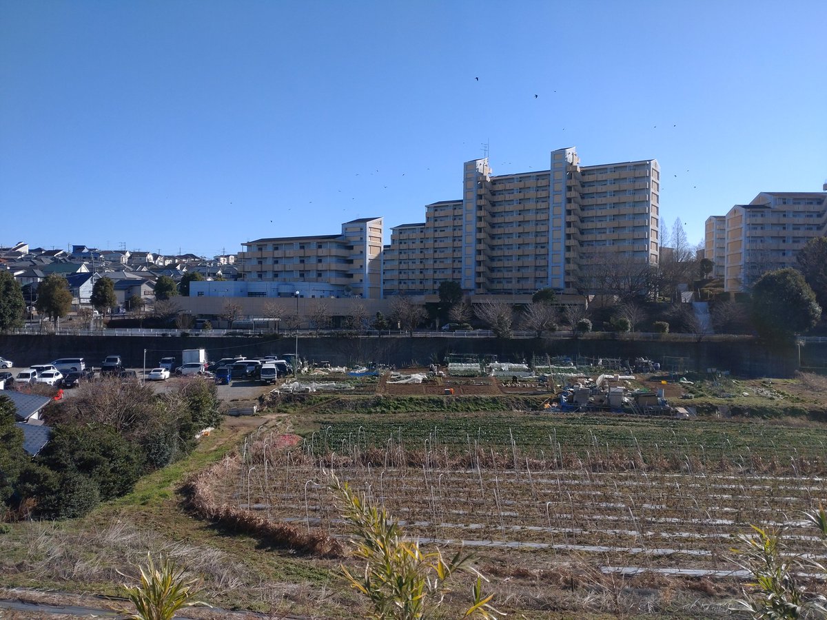 ハシタカ tweet media