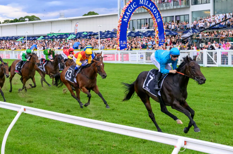 mmsnippets's tweet photo. NEWS: Magic Millions Heroine O’ Ole Confirmed for National Sale

Outstanding filly O’ Ole will present breeders and stud farms with a rare opportunity when she is offered as an elite breeding prospect at May’s National Broodmare Sale.

Read more: https://t.co/m2REcBFdy4 https://t.co/otfwwPzCFI