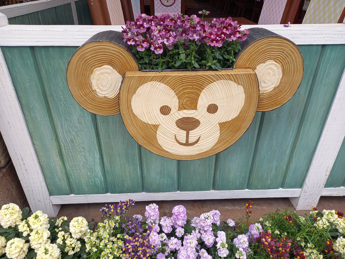 さとち tweet media