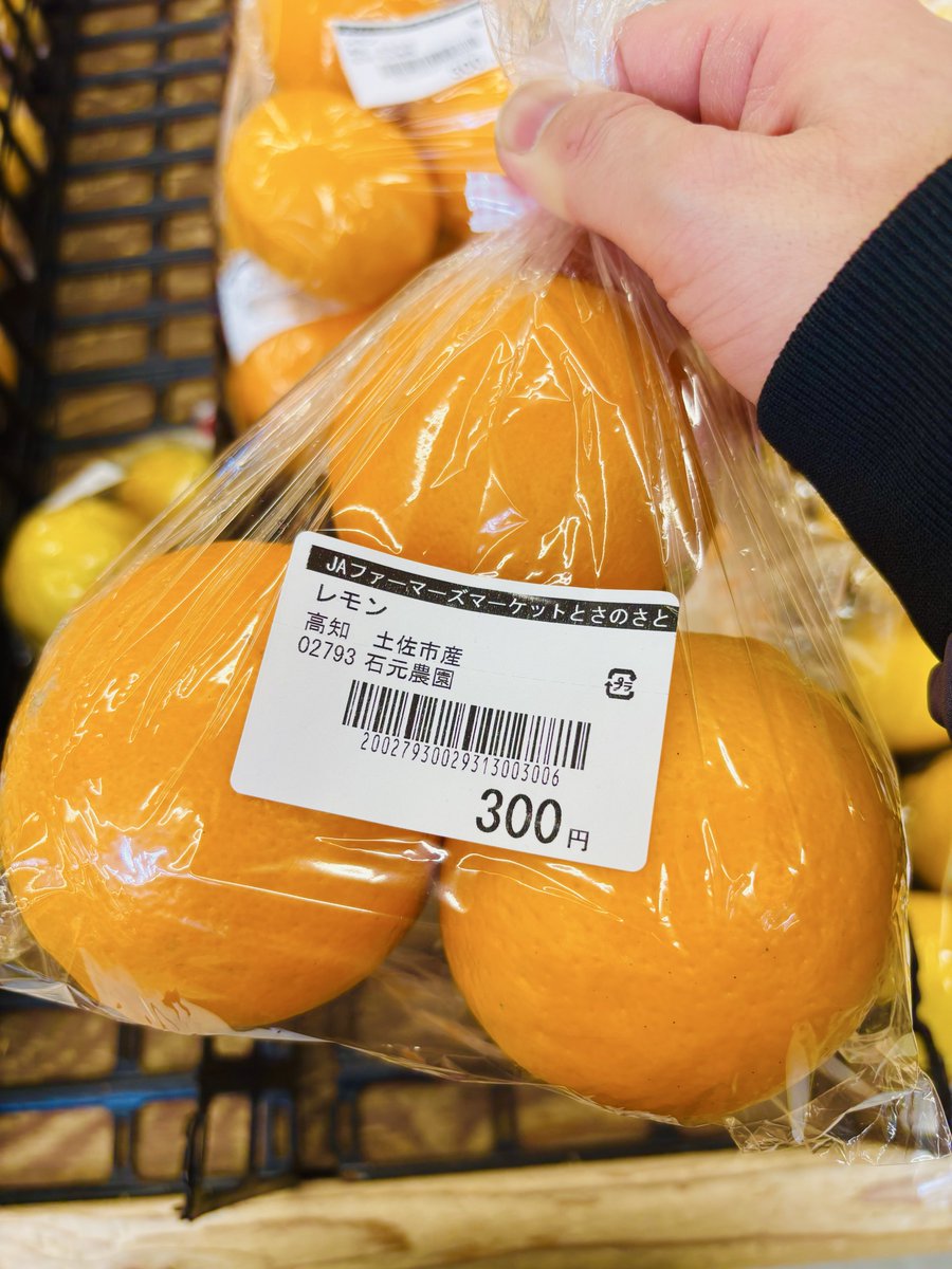 ミカンならどれほどよかったでしょう