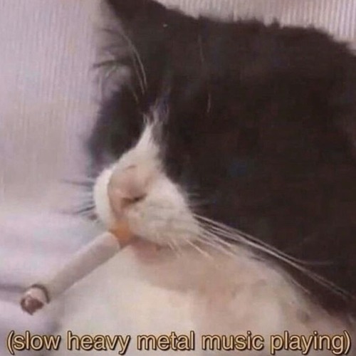 WolfyKilo tweet media