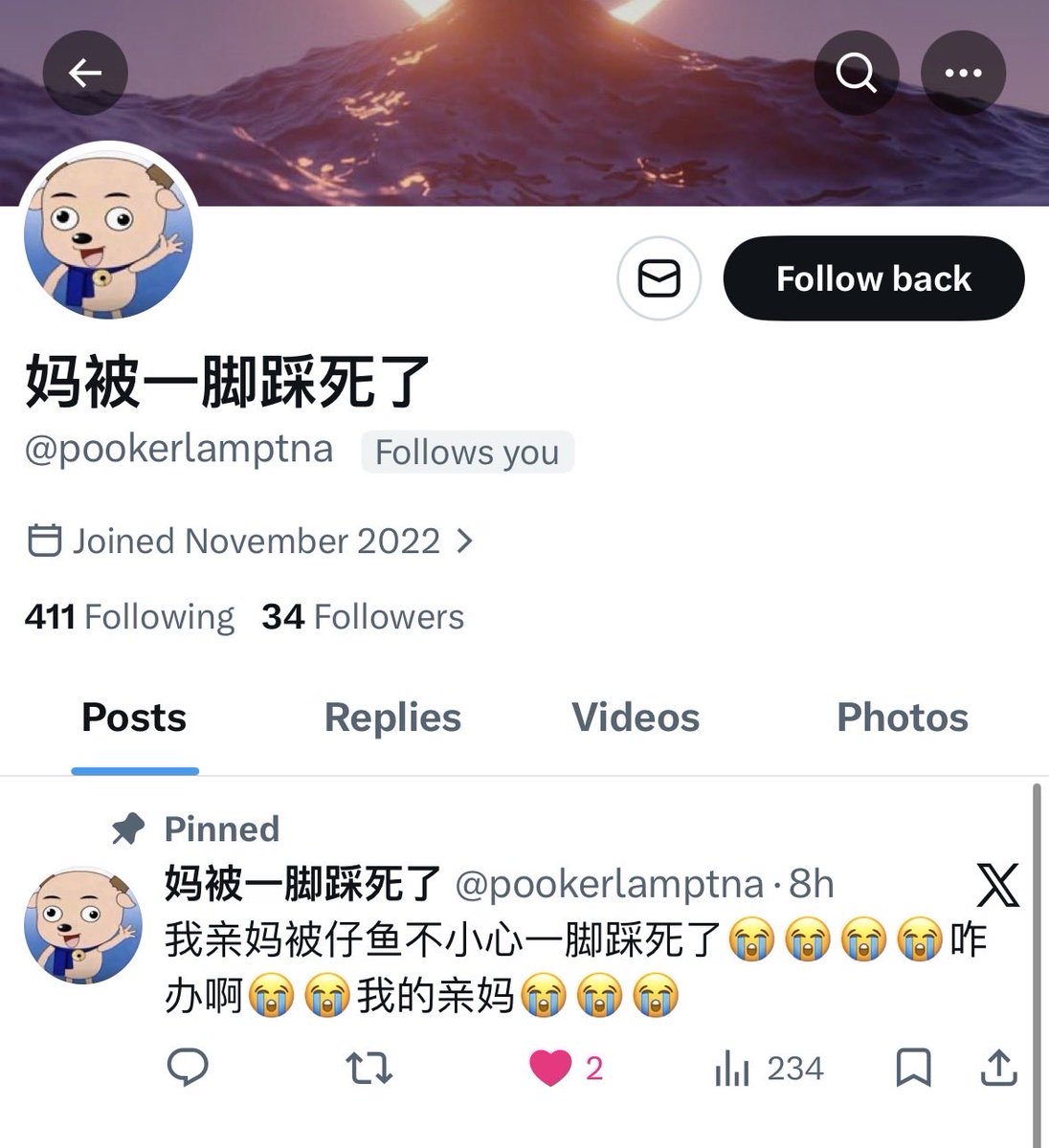 仔鱼2.0 tweet media