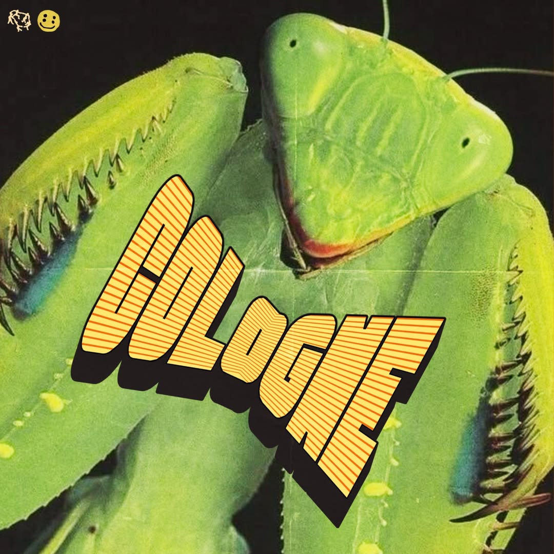 InqalabRecords's tweet photo. raghavforbharat drops new single ‘COLOGNE’ https://t.co/HdD8RjxeXH